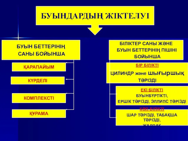 БУЫНДАРДЫҢ ЖІКТЕЛУІ БУЫН БЕТТЕРІНІҢ САНЫ БОЙЫНША БІЛІКТЕР САНЫ ЖӘНЕ БУЫН