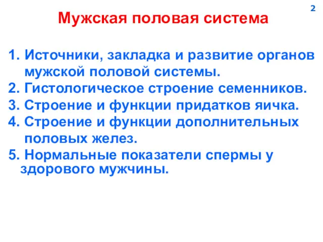 Мужская половая система 1. Источники, закладка и развитие органов мужской