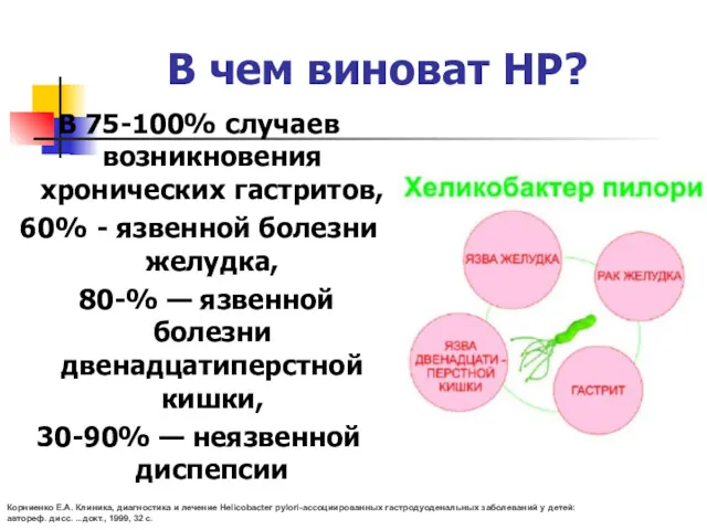 В чем виноват HP? В 75-100% случаев возникновения хронических гастритов,