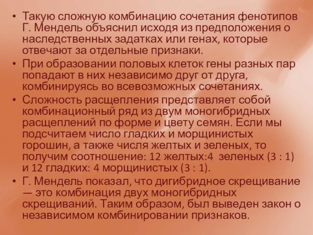 Такую сложную комбинацию сочетания фенотипов Г. Мендель объяснил исходя из