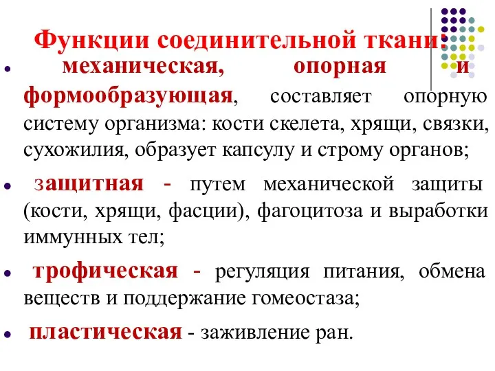 Функции соединительной ткани: механическая, опорная и формообразующая, составляет опорную систему