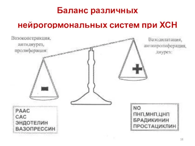 Баланс различных нейрогормональных систем при ХСН