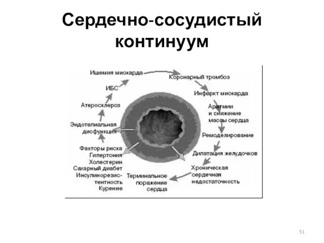 Сердечно-сосудистый континуум