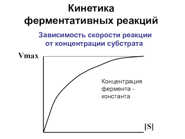 Зависимость скорости реакции от концентрации субстрата [S] Vmax Концентрация фермента - константа Кинетика ферментативных реакций