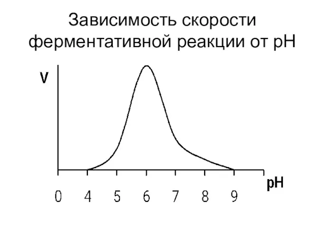 Зависимость скорости ферментативной реакции от рН