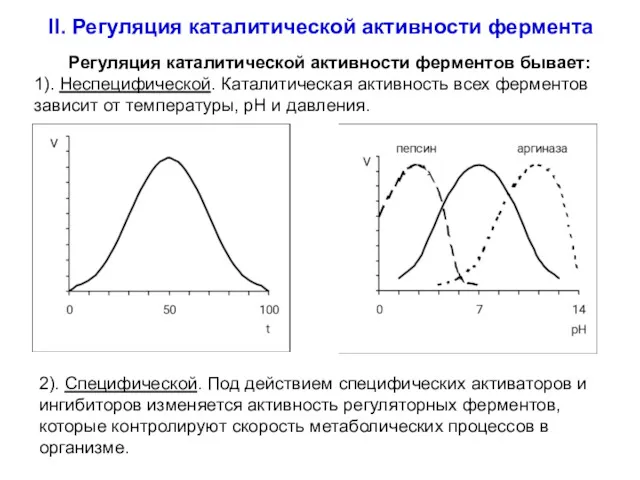 II. Регуляция каталитической активности фермента Регуляция каталитической активности ферментов бывает: