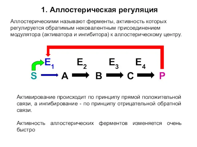 1. Аллостерическая регуляция Аллостерическими называют ферменты, активность которых регулируется обратимым