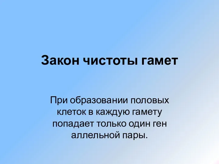 При образовании половых клеток в каждую гамету попадает только один ген аллельной пары. Закон чистоты гамет