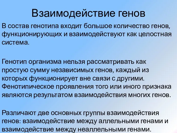 Взаимодействие генов В состав генотипа входит большое количество генов, функционирующих