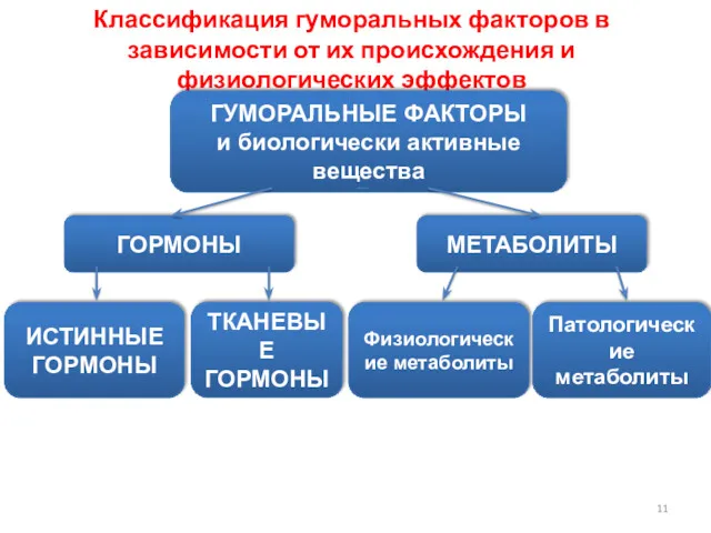 Классификация гуморальных факторов в зависимости от их происхождения и физиологических