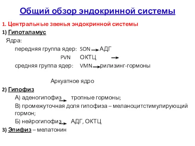 Общий обзор эндокринной системы 1. Центральные звенья эндокринной системы 1)