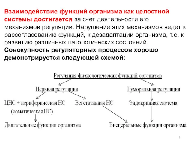 Взаимодействие функций организма как целостной системы достигается за счет деятельности