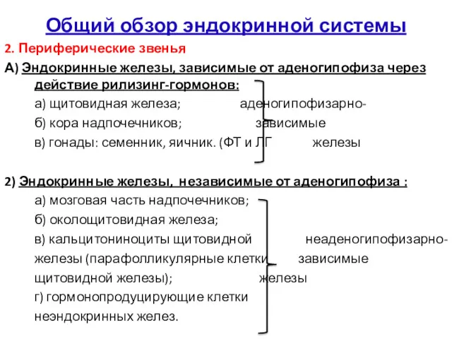 Общий обзор эндокринной системы 2. Периферические звенья А) Эндокринные железы,