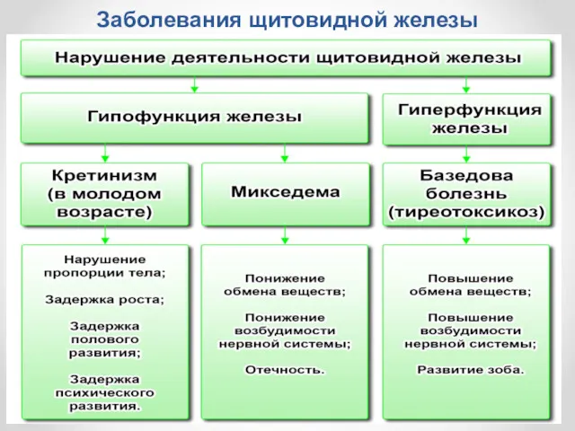 Заболевания щитовидной железы