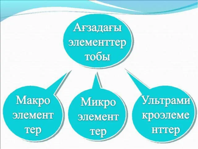 1. Экстарсистолиялар: А) пайда болу көзі бойынша: жүрекшелік, жүрекшеқарыншалық торап,