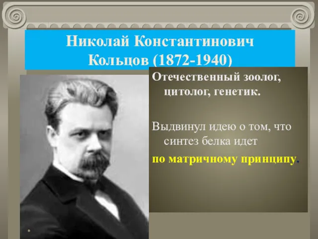 Николай Константинович Кольцов (1872-1940) Отечественный зоолог, цитолог, генетик. Выдвинул идею