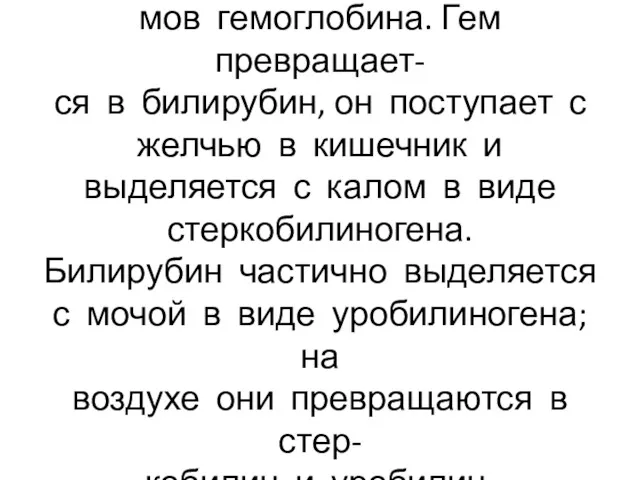 Ежедневно разрушаются 6-7 грам- мов гемоглобина. Гем превращает- ся в