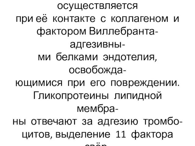 Активация фосфолипазы А в мем- бране тромбоцита осуществляется при её