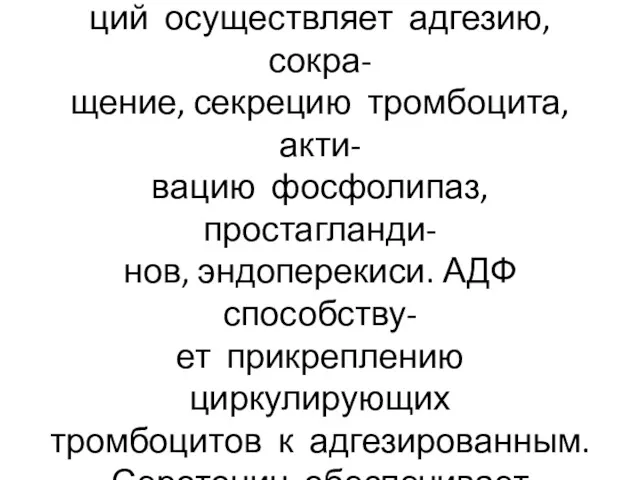 Дефицит гликопротеинов вызывает повышенную кровоточивость. Каль- ций осуществляет адгезию, сокра-