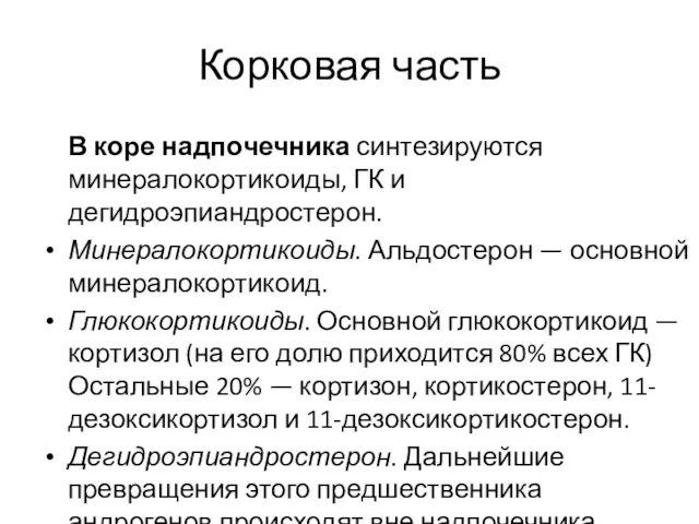 Корковая часть В коре надпочечника синтезируются минералокортикоиды, ГК и дегидроэпиандростерон.