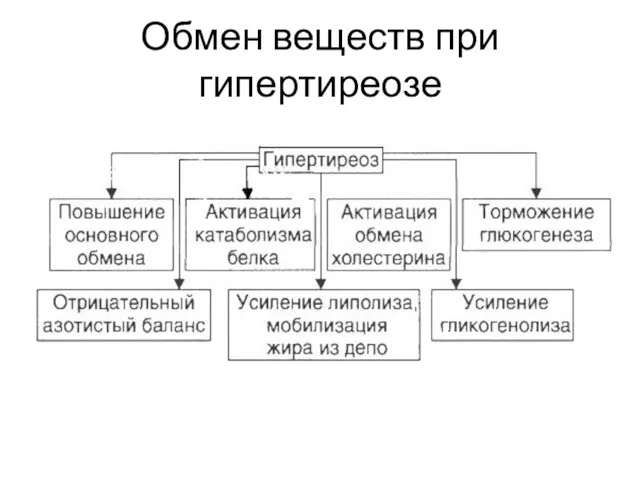 Обмен веществ при гипертиреозе