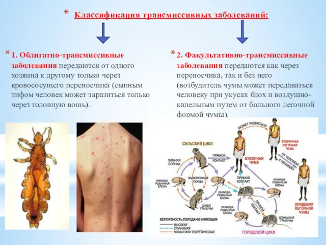 Классификация трансмиссивных заболеваний: 1. Облигатно-трансмиссивные заболевания передаются от одного хозяина к другому только