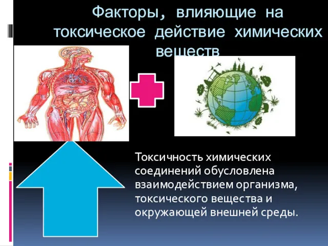 Факторы, влияющие на токсическое действие химических веществ