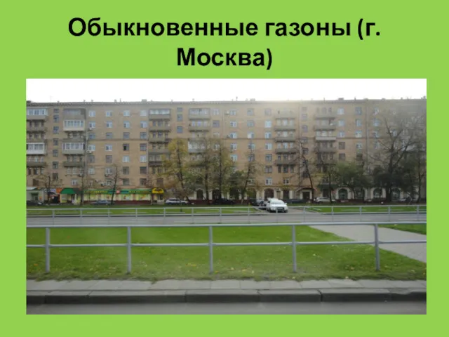 Обыкновенные газоны (г. Москва)