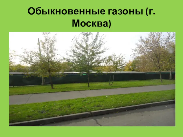 Обыкновенные газоны (г. Москва)