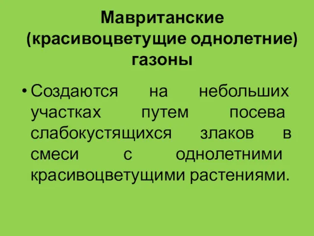 Мавританские (красивоцветущие однолетние) газоны Создаются на небольших участках путем посева