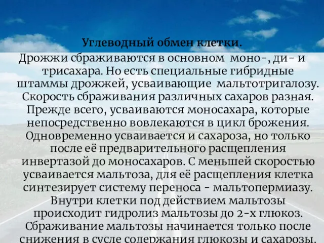 Углеводный обмен клетки. Дрожжи сбраживаются в основном моно-, ди- и