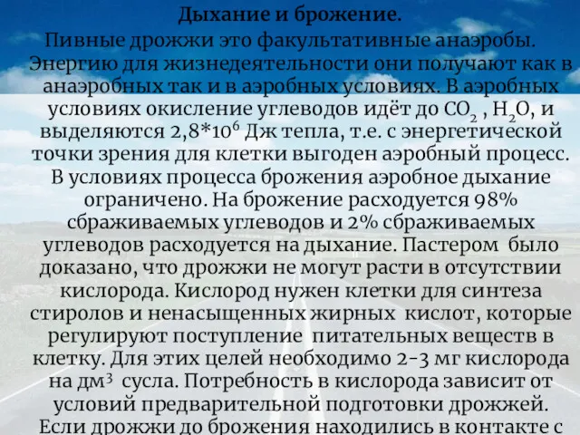 Дыхание и брожение. Пивные дрожжи это факультативные анаэробы. Энергию для