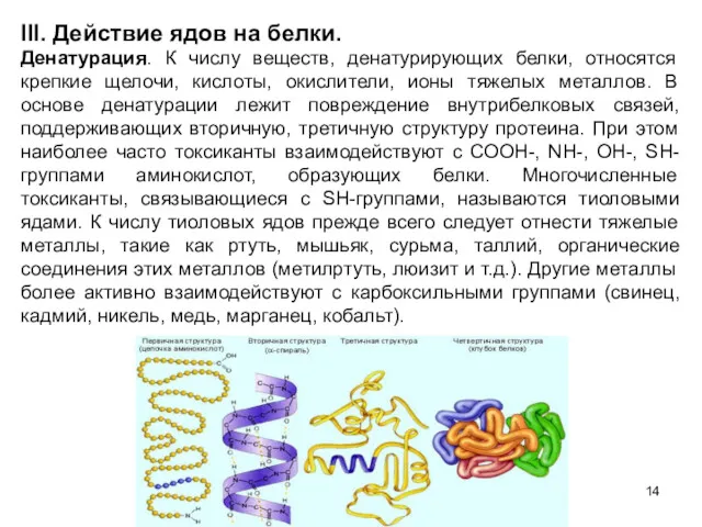 III. Действие ядов на белки. Денатурация. К числу веществ, денатурирующих белки, относятся крепкие