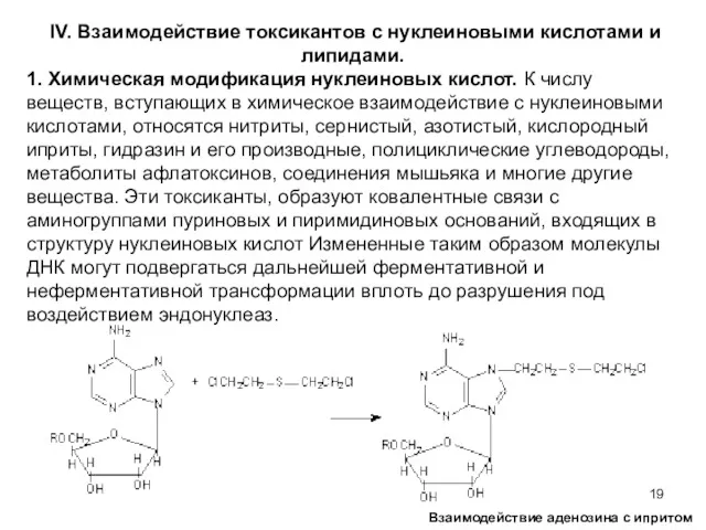 IV. Взаимодействие токсикантов с нуклеиновыми кислотами и липидами. 1. Химическая модификация нуклеиновых кислот.