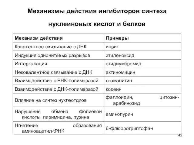 Механизмы действия ингибиторов синтеза нуклеиновых кислот и белков