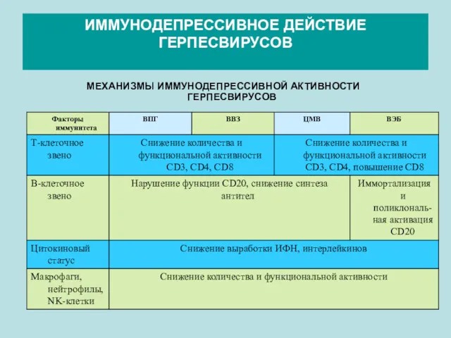 ИММУНОДЕПРЕССИВНОЕ ДЕЙСТВИЕ ГЕРПЕСВИРУСОВ МЕХАНИЗМЫ ИММУНОДЕПРЕССИВНОЙ АКТИВНОСТИ ГЕРПЕСВИРУСОВ