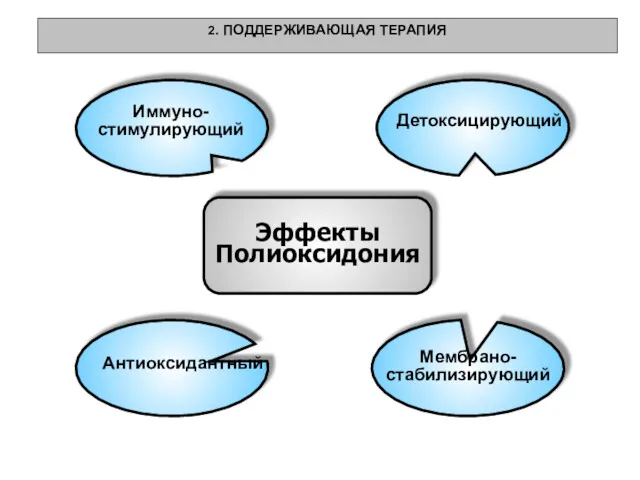 Эффекты Полиоксидония Иммуно- стимулирующий Детоксицирующий Антиоксидантный Мембрано- стабилизирующий 2. ПОДДЕРЖИВАЮЩАЯ ТЕРАПИЯ