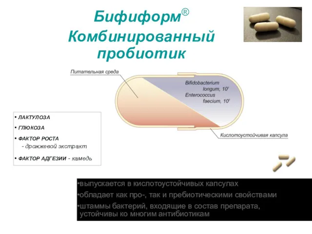 Бифиформ® Комбинированный пробиотик ЛАКТУЛОЗА ГЛЮКОЗА ФАКТОР РОСТА - дрожжевой экстракт