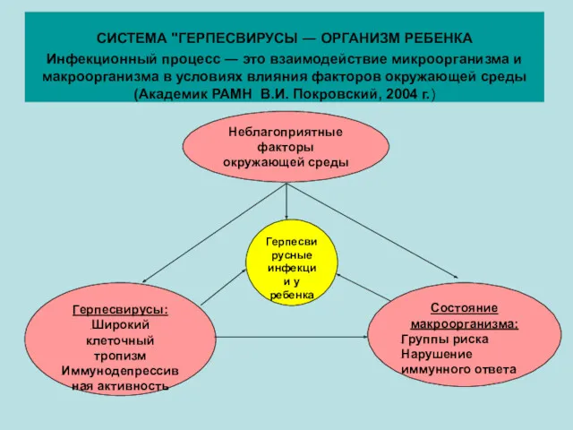 СИСТЕМА "ГЕРПЕСВИРУСЫ ― ОРГАНИЗМ РЕБЕНКА Инфекционный процесс ― это взаимодействие