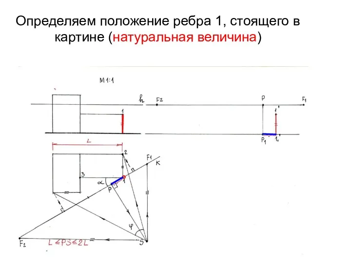 Определяем положение ребра 1, стоящего в картине (натуральная величина) ° ' '