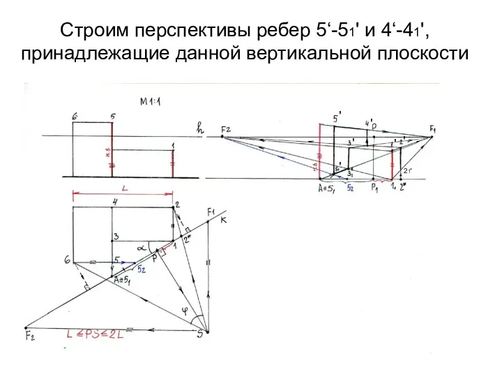 Строим перспективы ребер 5‘-51' и 4‘-41', принадлежащие данной вертикальной плоскости
