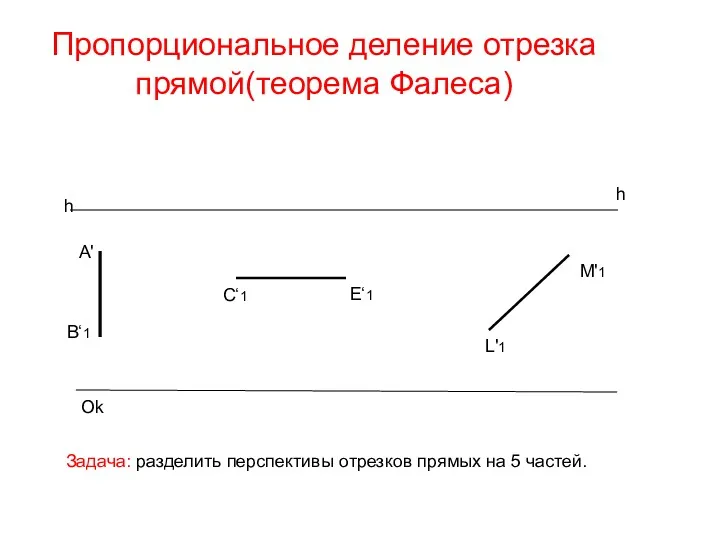 Пропорциональное деление отрезка прямой(теорема Фалеса) h h Ok A' B‘1