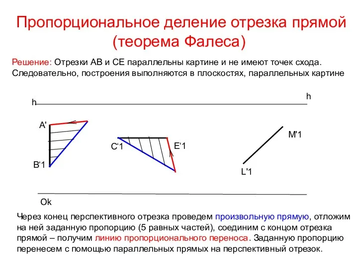 Пропорциональное деление отрезка прямой(теорема Фалеса) h h Ok A' B‘1