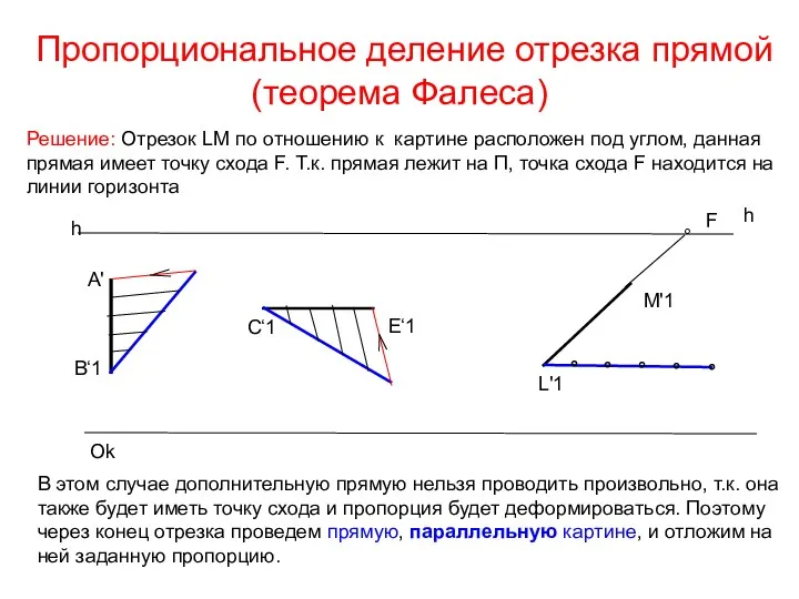 Пропорциональное деление отрезка прямой(теорема Фалеса) h h Ok A' B‘1