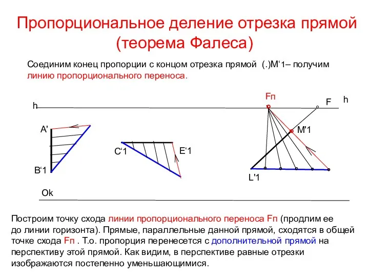 Пропорциональное деление отрезка прямой(теорема Фалеса) h h Ok A' B‘1