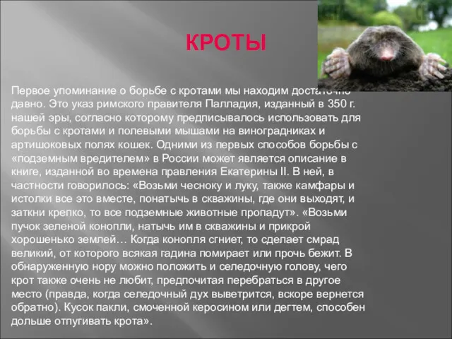 Первое упоминание о борьбе с кротами мы находим достаточно давно. Это указ римского