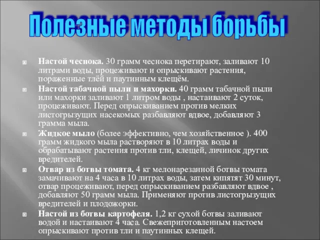 Настой чеснока. 30 грамм чеснока перетирают, заливают 10 литрами воды, процеживают и опрыскивают