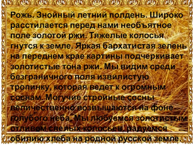 Рожь. Знойный летний полдень. Широко расстилается перед нами необъятное поле