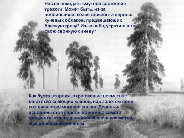 Нас не покидает смутное состояние тревоги. Может быть, из-за появившихся возле горизонта первых