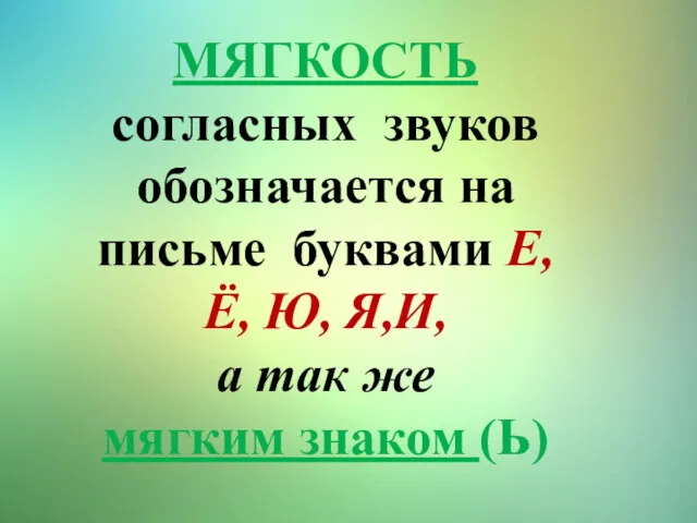 МЯГКОСТЬ согласных звуков обозначается на письме буквами Е, Ё, Ю,